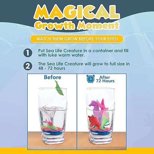 Miniatura 9 de IPIDIPI TOYS Juguetes de criaturas marinas que crecen agua para niños, recuerdos de fiesta temática oceánica, rellenos de bolsas de regalos, mini