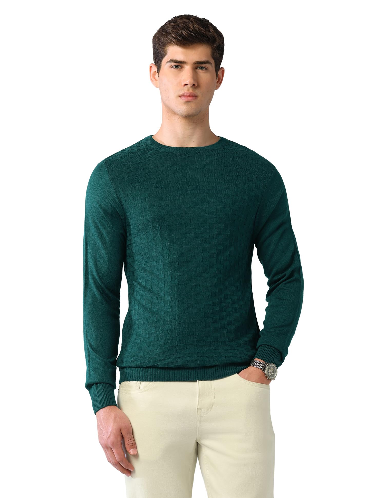 SWFGAON816 Maroon Mens Sweater-image-8