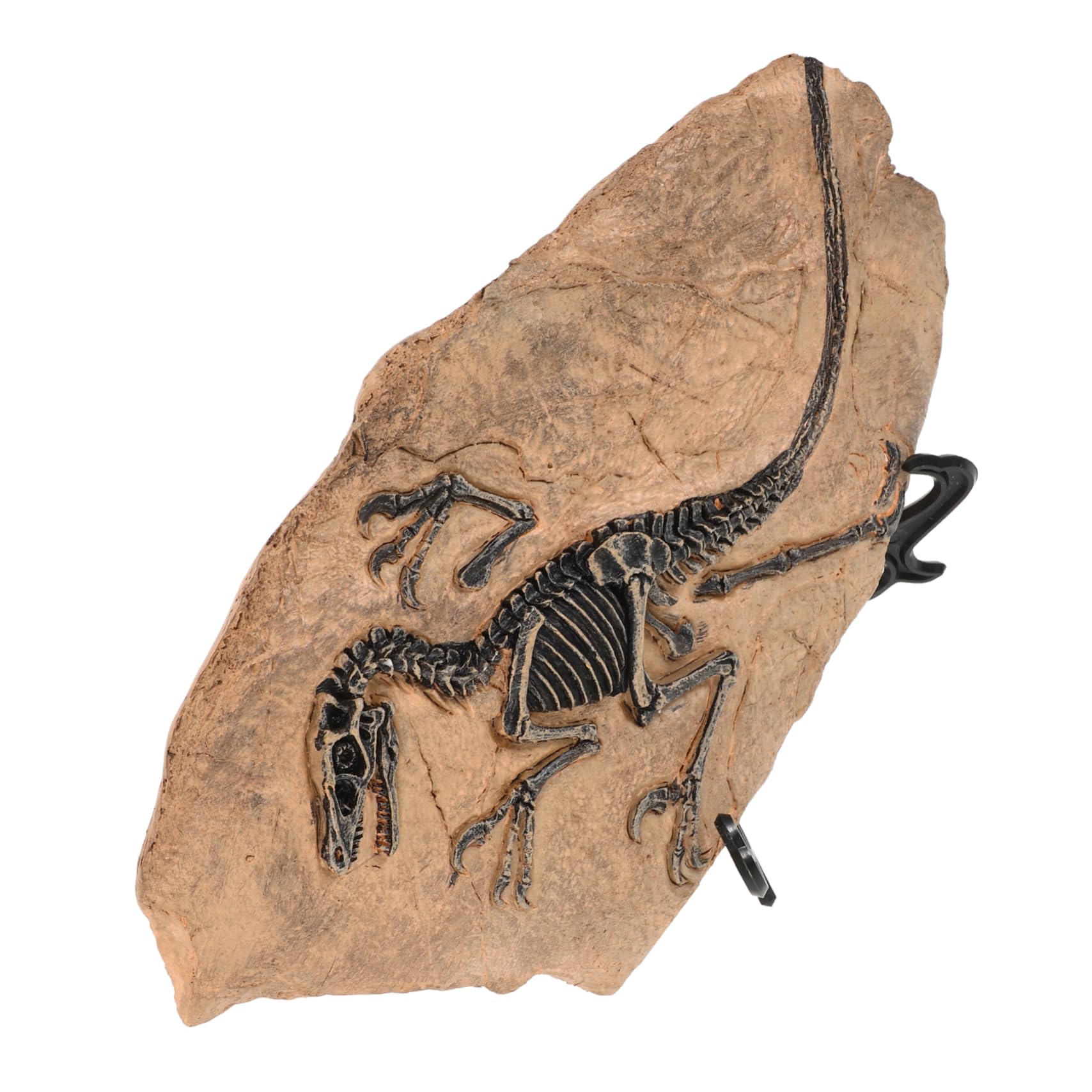 Set Di Ornamenti A Forma Di Dinosauro Per Bambini E Bambine Giocattoli Didattici in Resina Per Il Compleanno