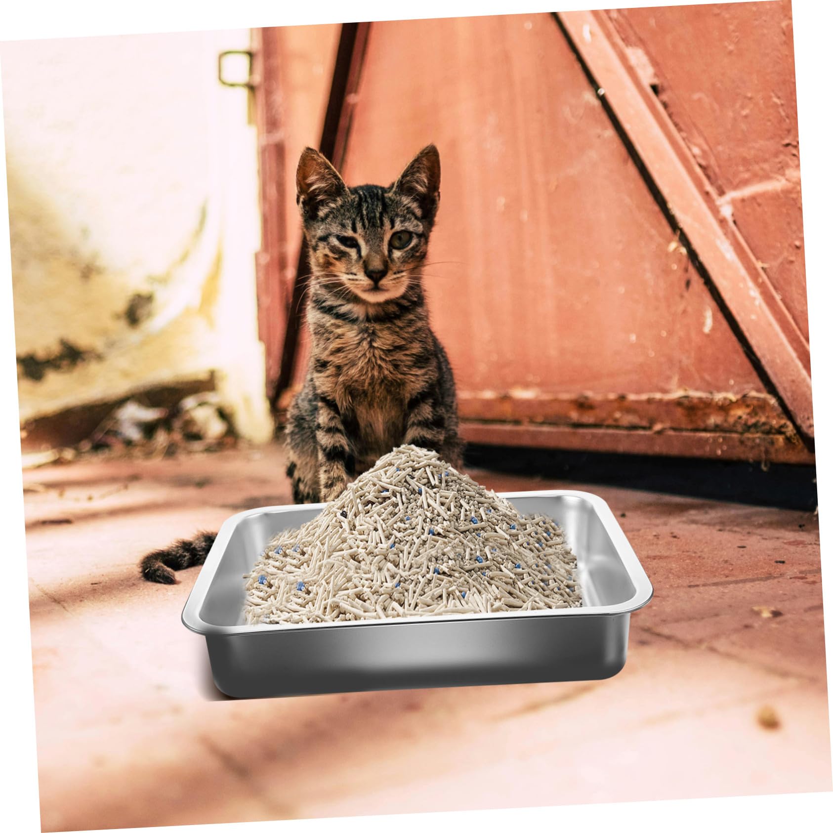 Toyvian Lettiera Gatto in Inox Aperto Capacità e Facile da Pulire, per Addestramento Gattini e Interno
