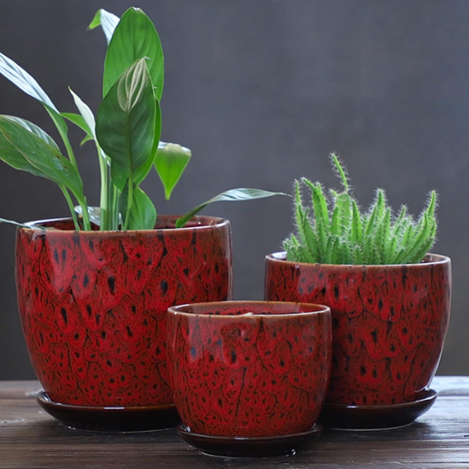 ETGLCOZY Ceramic Planter Pot with Drainage Hole and Saucer, 5.5/5/4.1