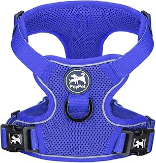 PoyPet Reflektierendes, weiches, atmungsaktives Hundegeschirr aus Mesh, erstickungsfreie, doppelt gepolsterte Weste mit verstellbarem Hals und Brust(Königsblau,M) product image