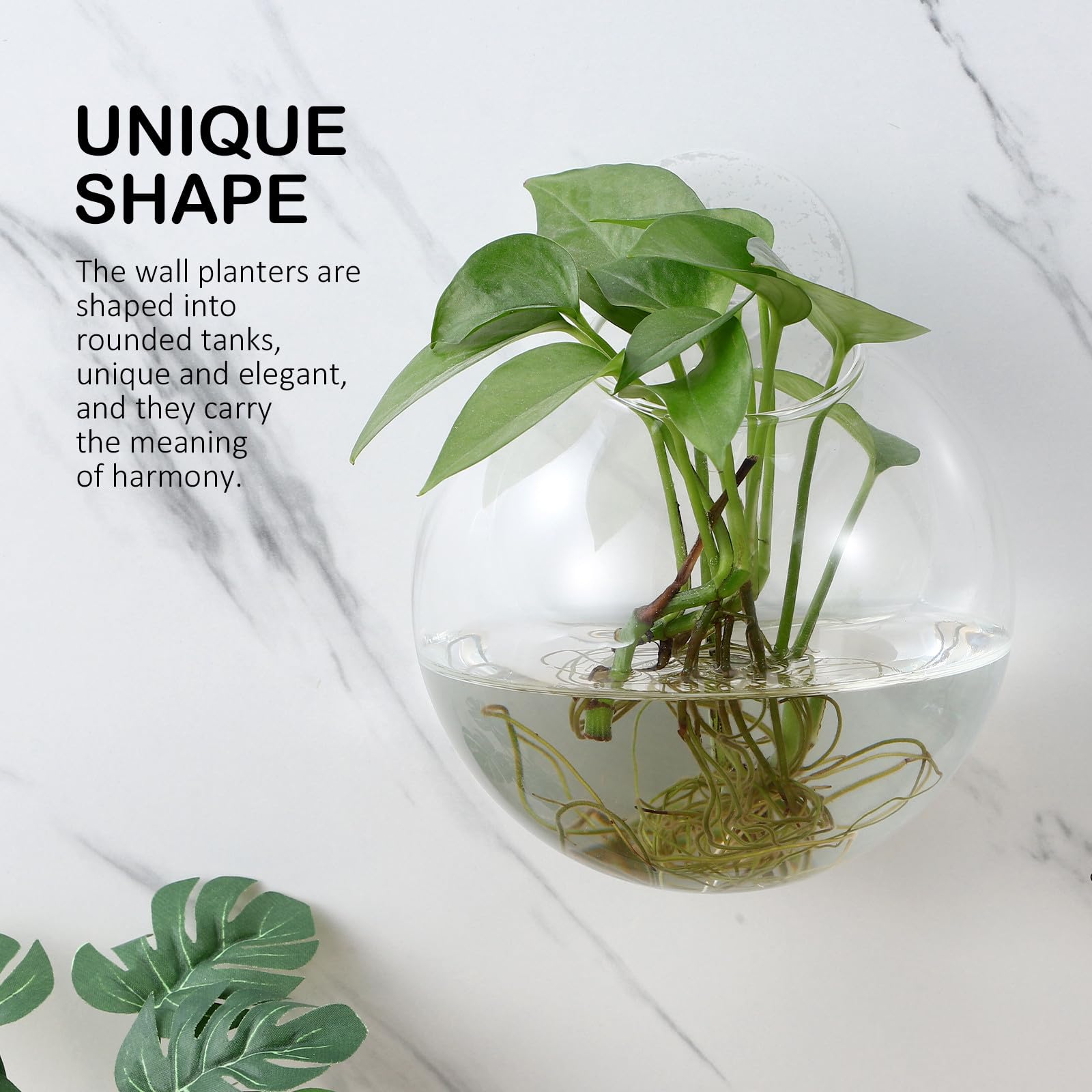 SHINEOFI Jardinières Murales en Verre Transparent Lot de 4 Vases Muraux pour Boutures Station de Propagation Suspendue pour Plantes d'Intérieur Décoration Salon Cuisine