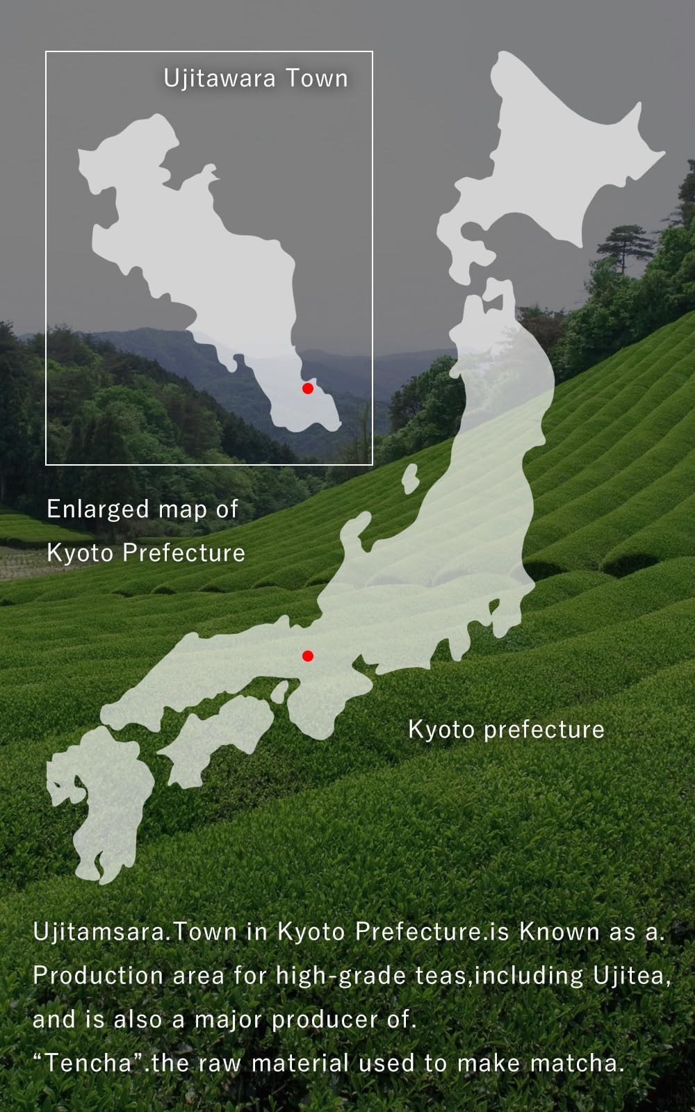 Kyoto Ujitawara-Seichajyo Uji Matcha Kyo-no-hana Ceremonial Grade Matcha Powder from Kyoto Made in Japan 1 4oz 40g Japanese — view 3