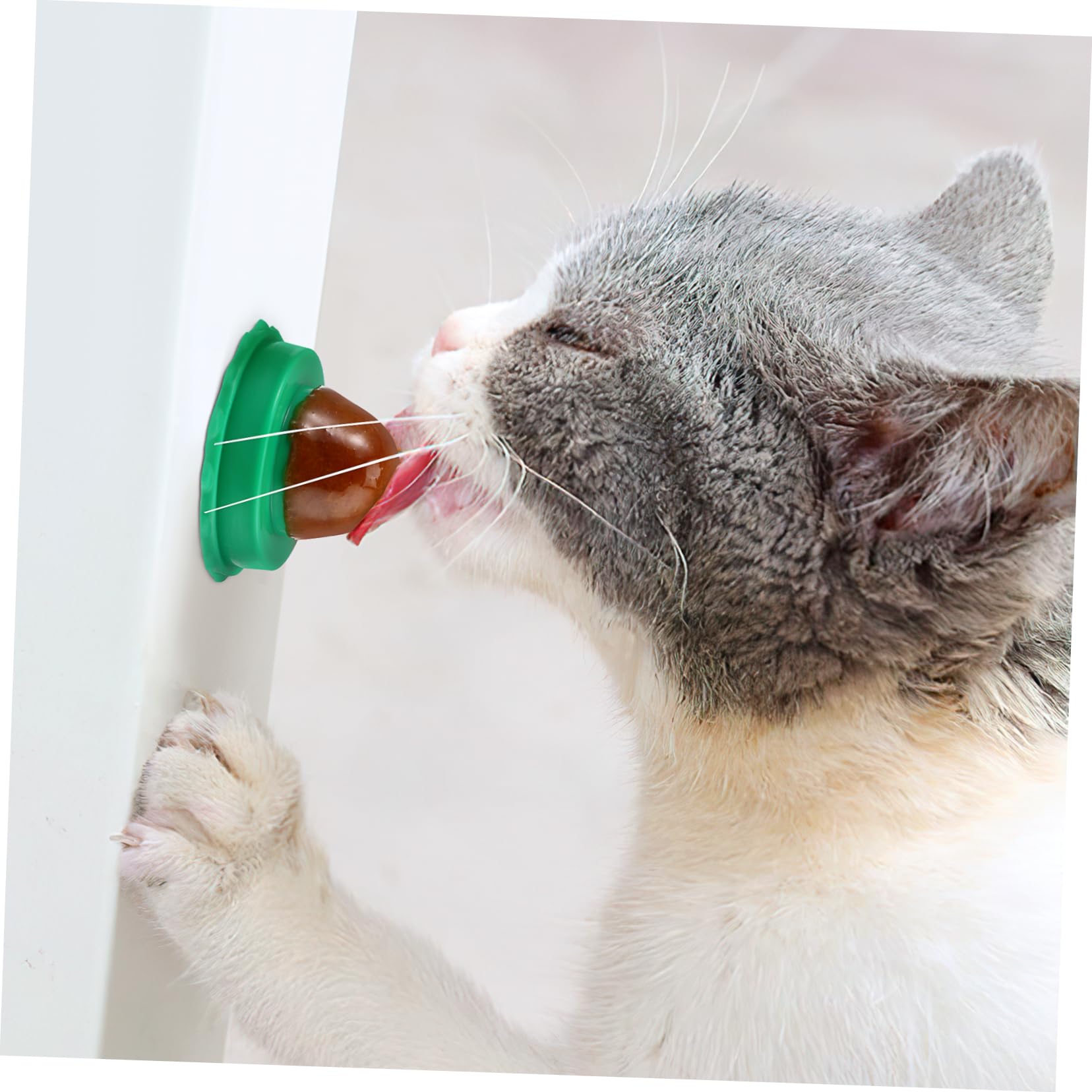 Toddmomy 30piezas Golosinas para Gatos Catnip De Sabor Aleatorio Snacks Nutritivos para Mascotas para Jugar y Masticar