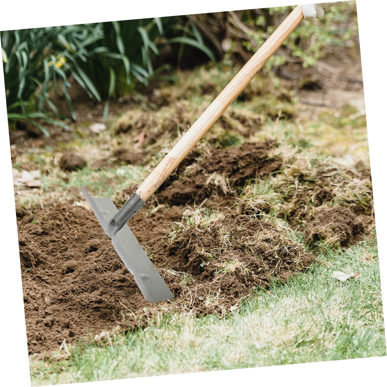 Kisangel 2 Pala de Limpieza de Granja Pala Metálica para Excrementos de Aves de Corral Herramienta Multifuncional 2 Unidades Diseño Resistente para Uso en Granjas y Hogares