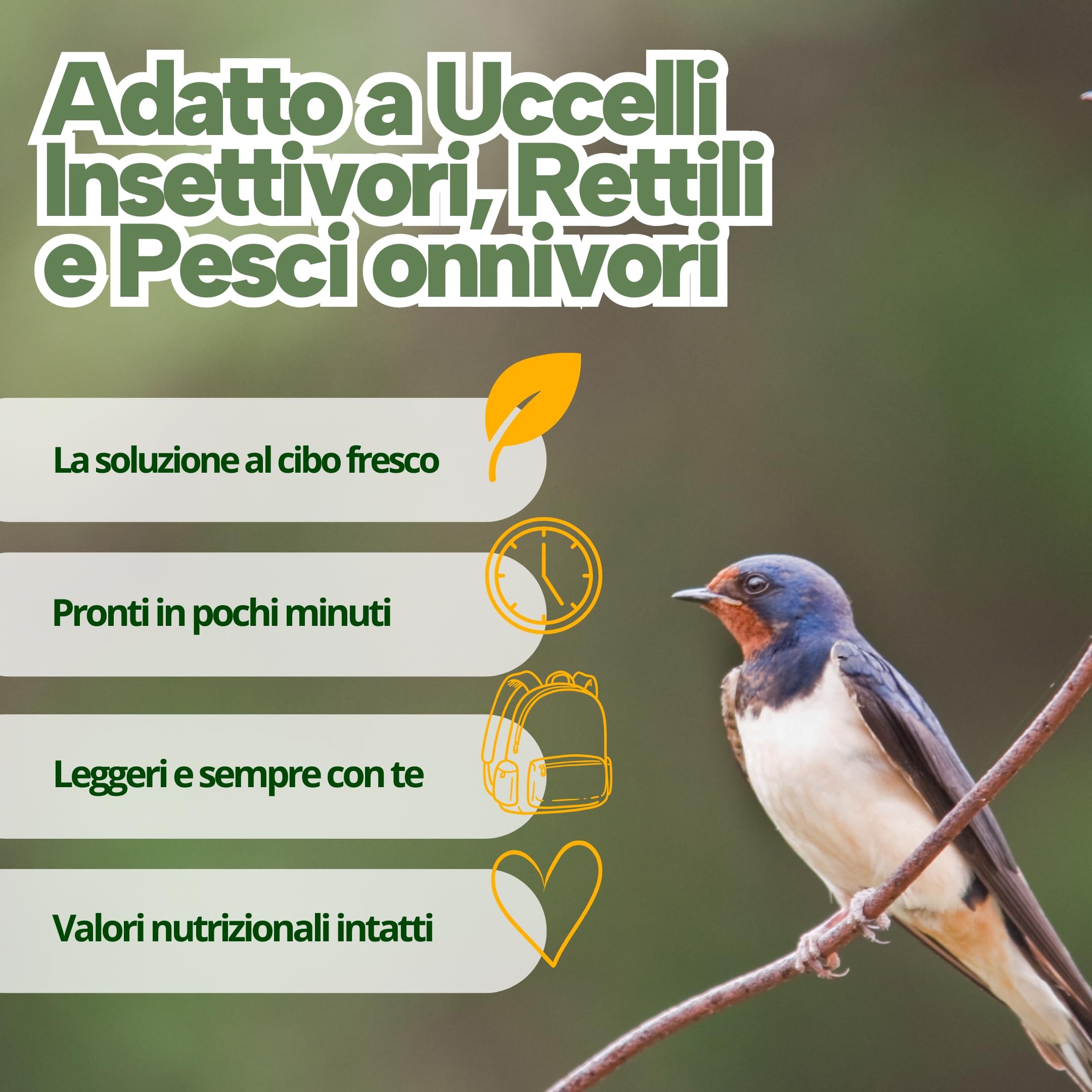 Grilli Liofilizzati 500ml Mangime Uccelli Selvatici Rondini, Rondoni, Balestrucci e Altri Uccelli Insettivori Ideale anche per Geco, Camaleonte, Tartarughe e Pesci Grilli per Rondini Cibo Alta Qualità