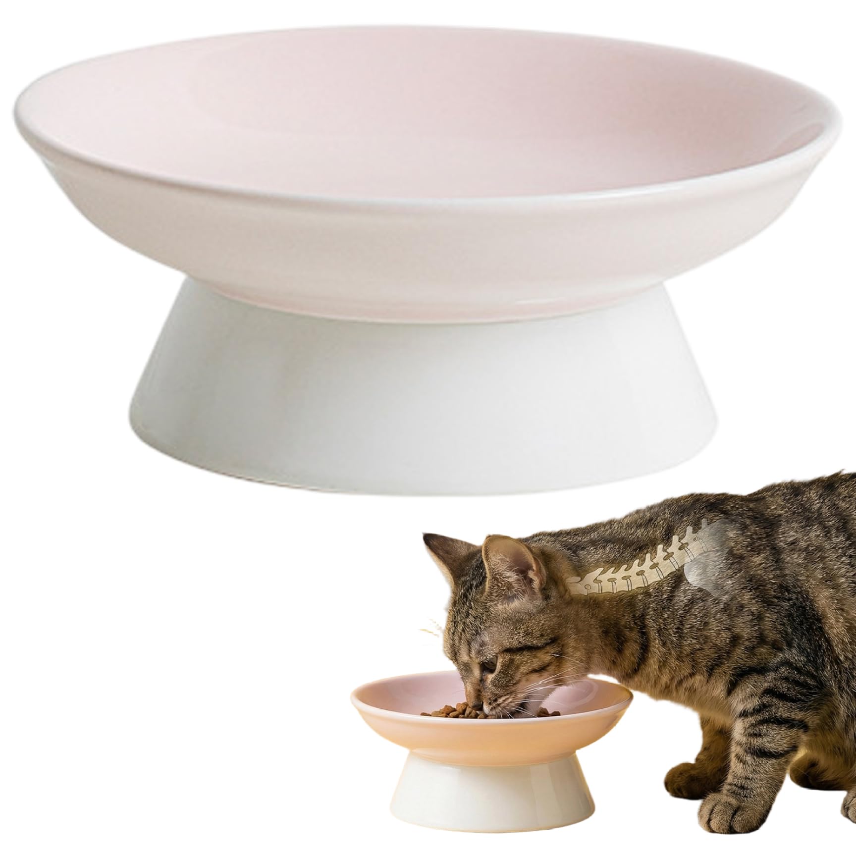 Gamelles surélevées en céramique pour chat fini les vomissements lot de 2