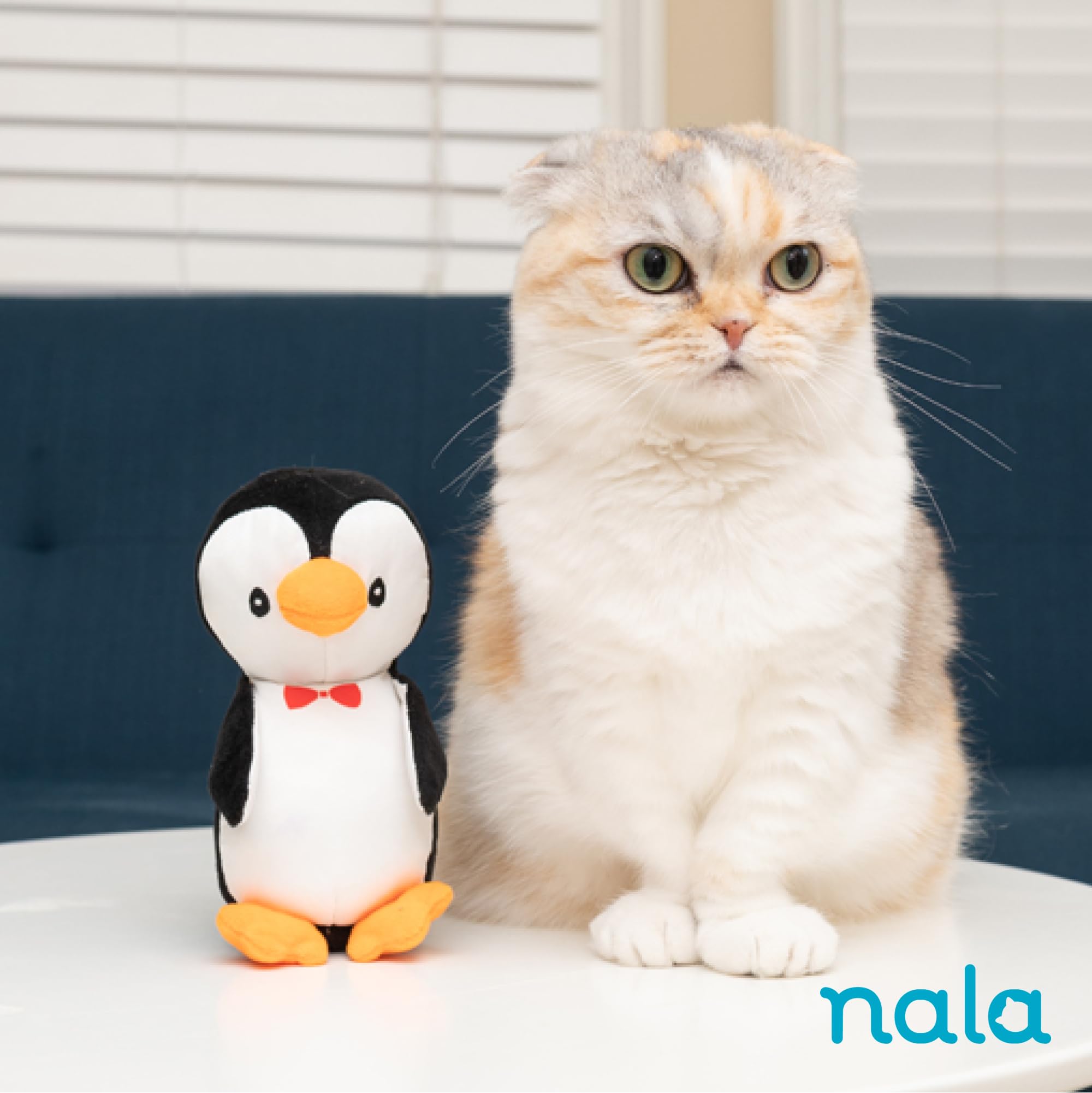 Nala・ナラ・Cactus all in one・nala Nala・ナラ・Cactus all in one・nala