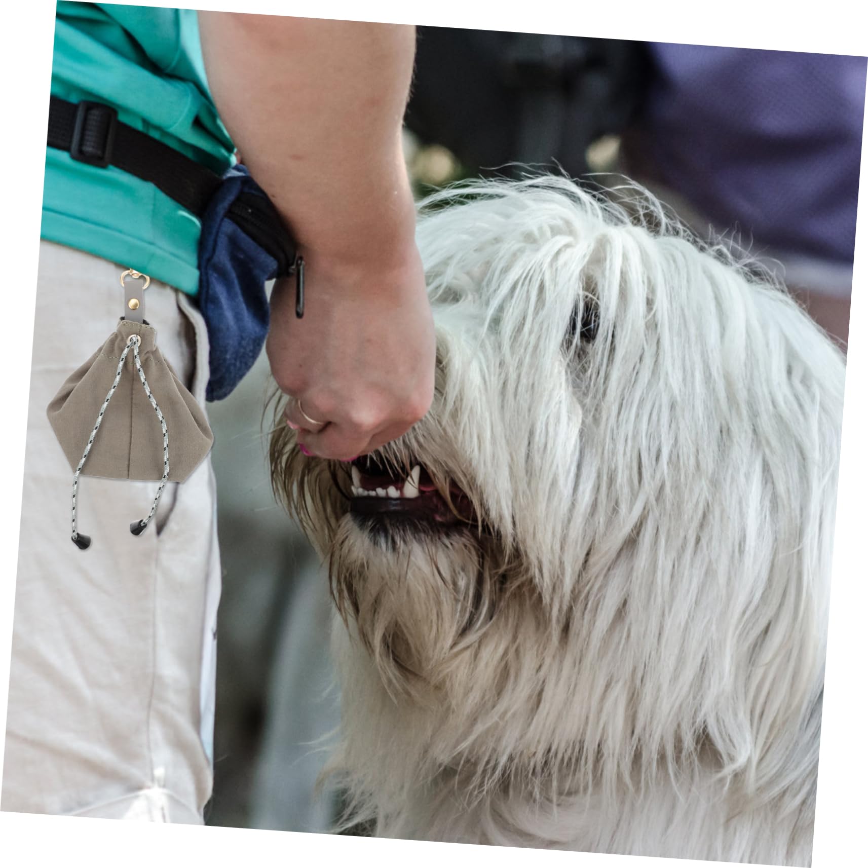 BESPORTBLE 3stücke Tragbare Hundeleckerlitasche Für Outdoor-Training Langlebige Futtertasche Mit Aufhängehaken Und Verstellbarem Gurt Für Hundetraining Und