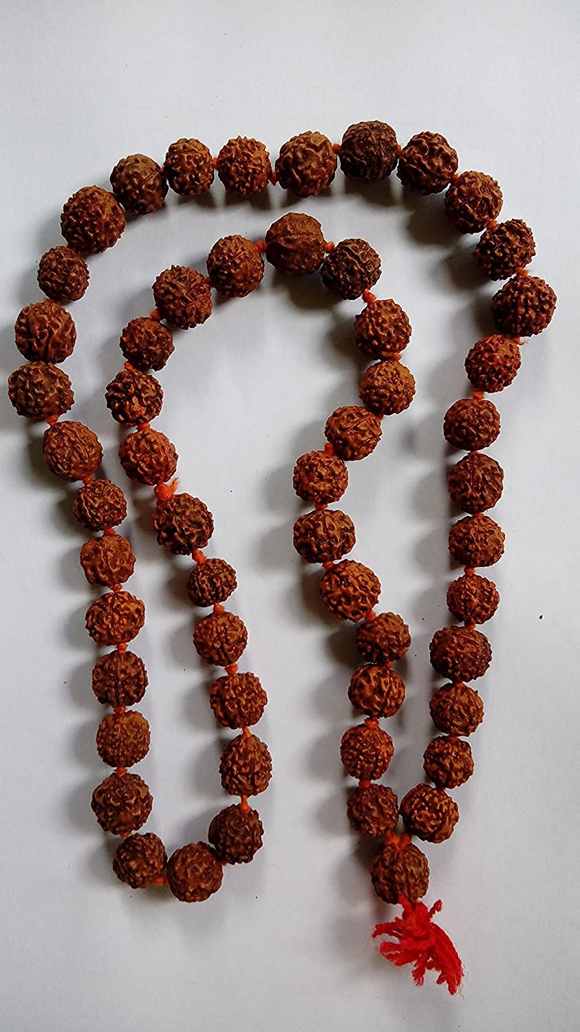 FIRMUS 5 Mukhi Rudraksha Jaap Mala, Certified (54+1 Beads) (1)-picture-10