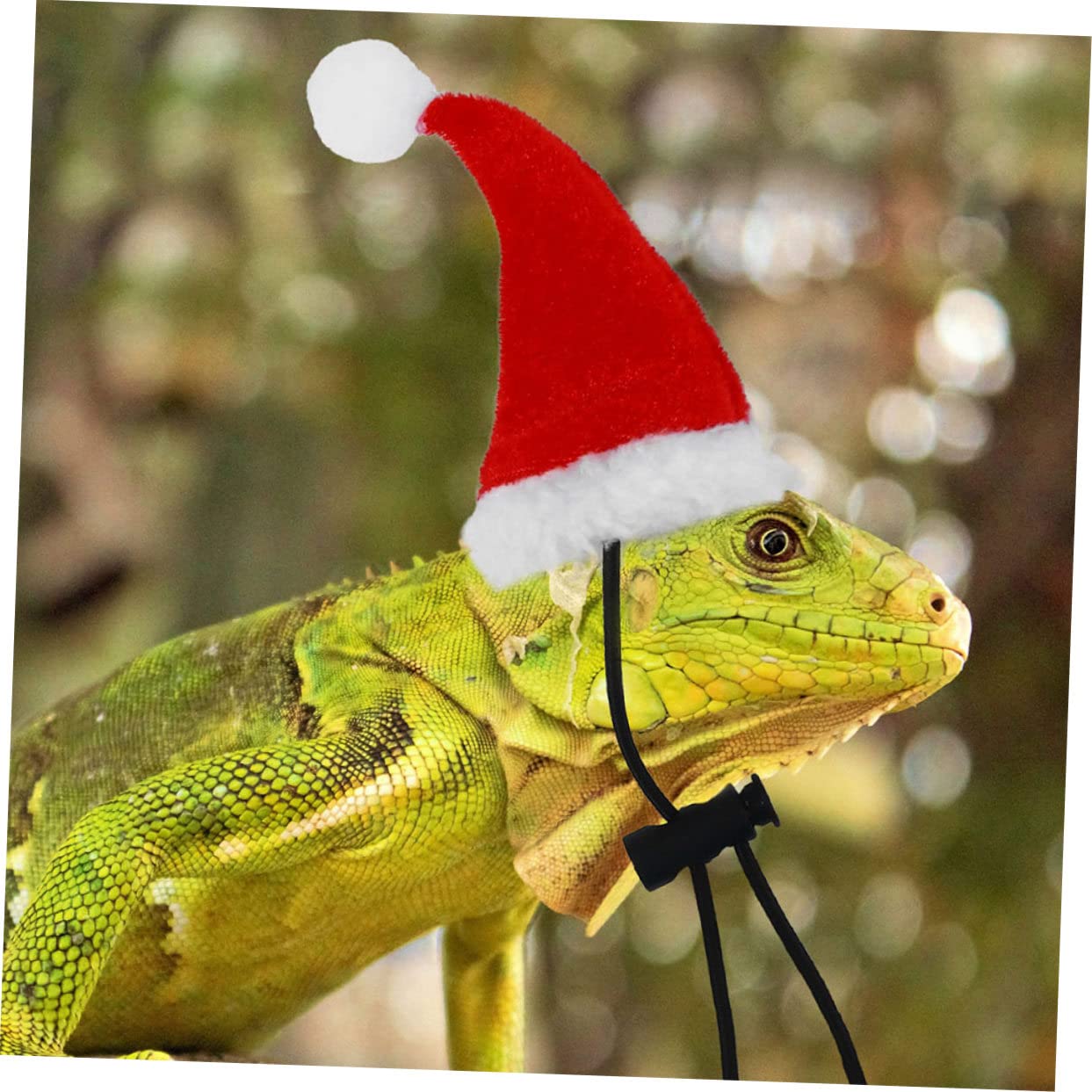 BESPORTBLE 2sets Accessori Per Rettili Con Guinzaglio Cappello e Sciarpa Per Festività Natalizie Kit Decorativo Per Lucertole Per Uscite All Aperto e Feste Tema Natale