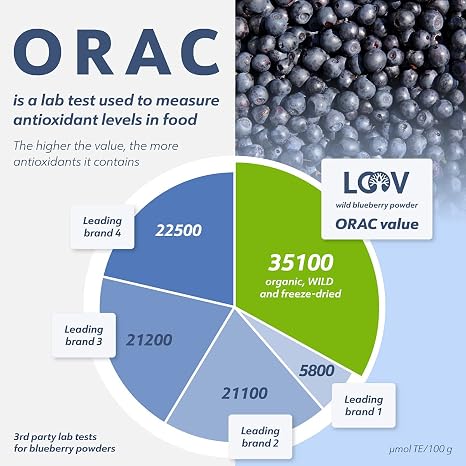 LOOV Organic Wild Blueberry Powder 15 Day Supply 91 g Good for Smoothie & Breakfast Freezed and Dried from Northern Europe No Added Sugar