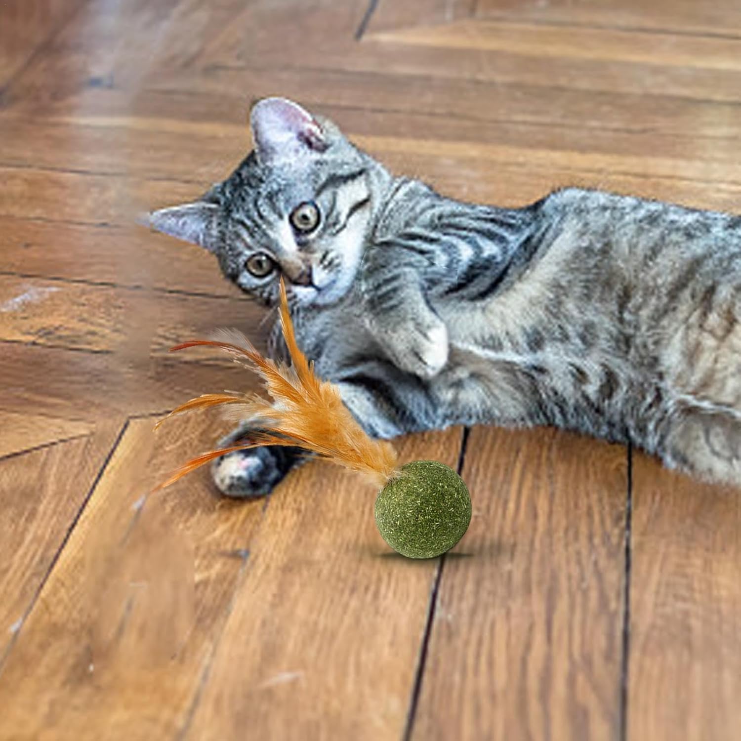 Pxiryanlow Interactive Catnip Cat Toys,Cat Toys Catnip - Edible Kitten Catnip Feather Ball | Cat Toys for Cats Lick,Safe Healthy Kitten Chew Toys, Teeth Cleaning Cat Toys,Cat Treats,Catnip Toys