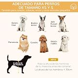 Ver la foto 8