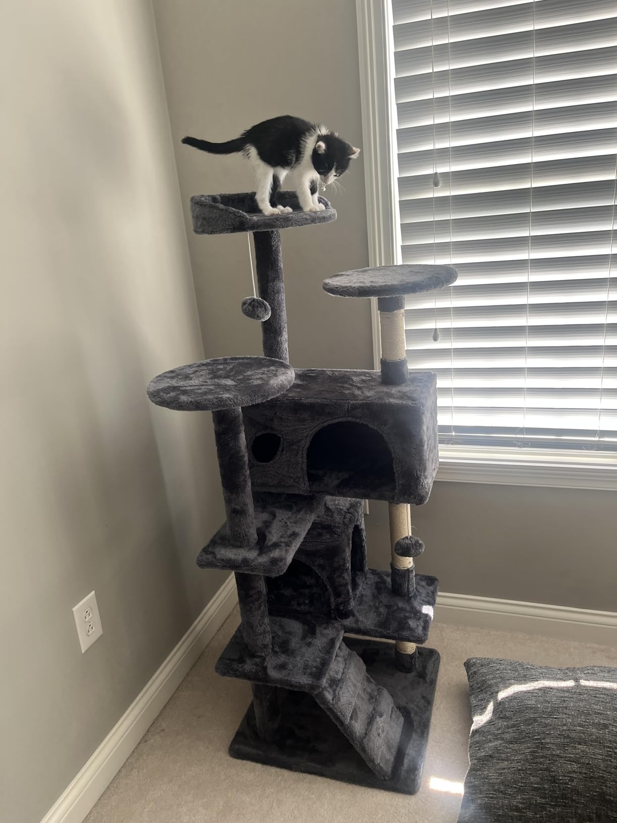 FDW Cat Tree 54in Cat Tower Multi-Level Durable Cat Scratching Post & Cozy Fun Cat Jumping Platform Space Saving Cat Condo Pet Play House for Indoor Cats,Dark Gray photo review