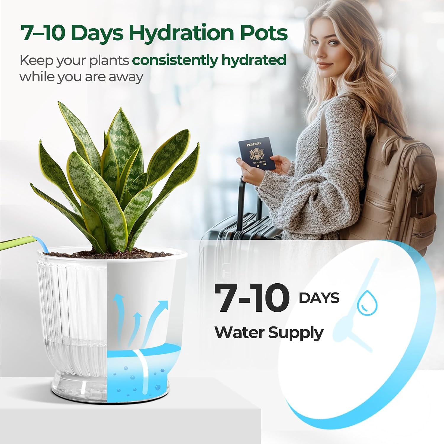 T4U Self Watering Pots for Indoor Plants 4.5 Inch 4 Pack Planter Clear image 5