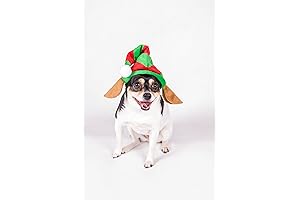 Clever Creations Christmas Elf Hat with Ears Pet Costume for Dogs and Cats