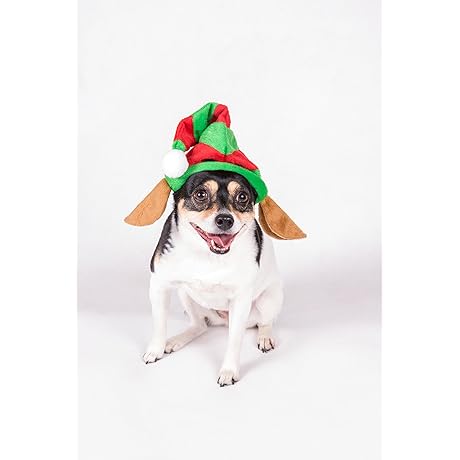Clever Creations Christmas Elf Hat with Ears Pet Costume for Dogs and Cats