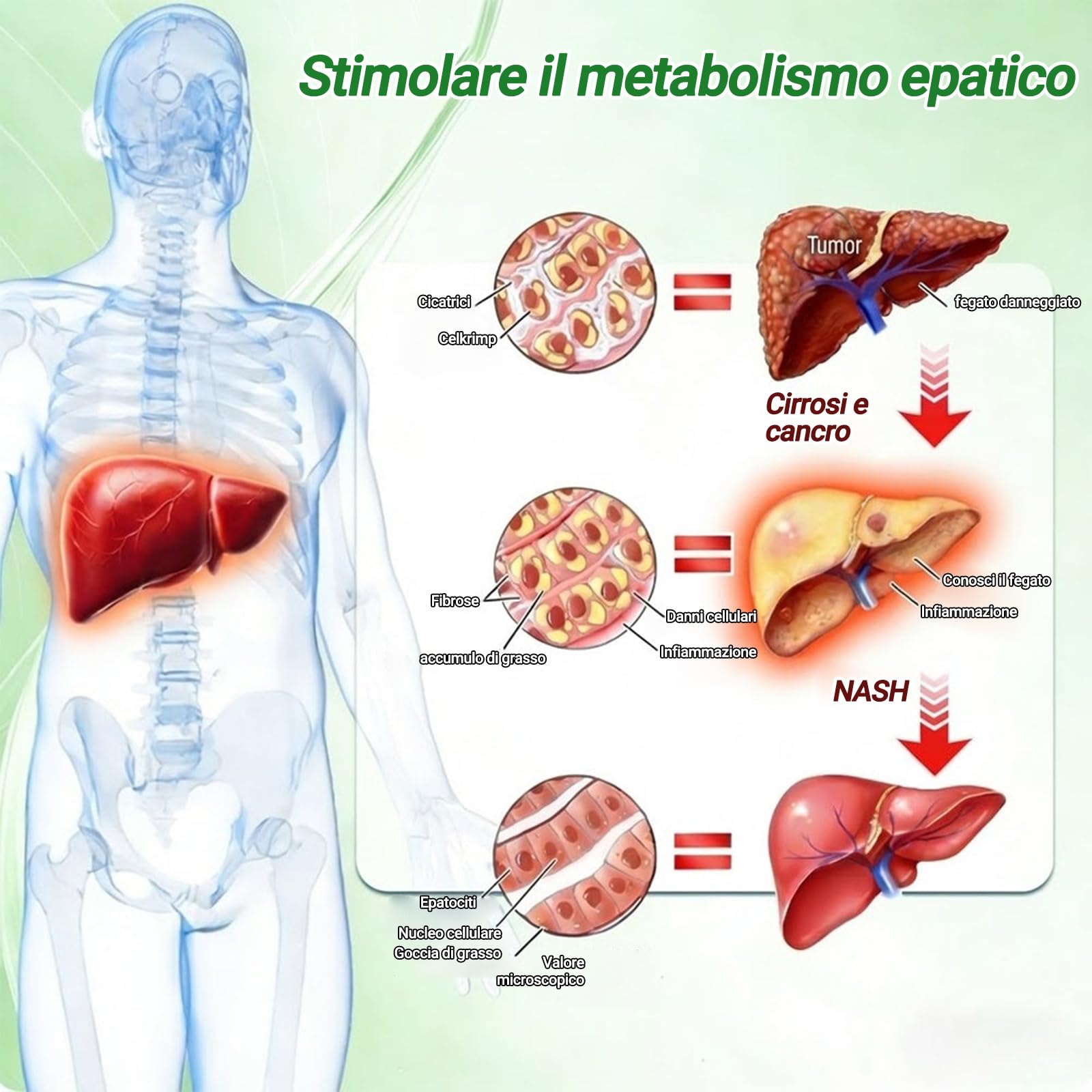 GLORENDA Moringa NAD+ 10-in-1 Cerotto Avanzato Nano Microneedle, Naturali Moringa Cerotti Dimagranti, GLORENDA Cerotti Dimagranti Efficaci, per Addome, Gambe e Braccia (4 Scatole) - 5