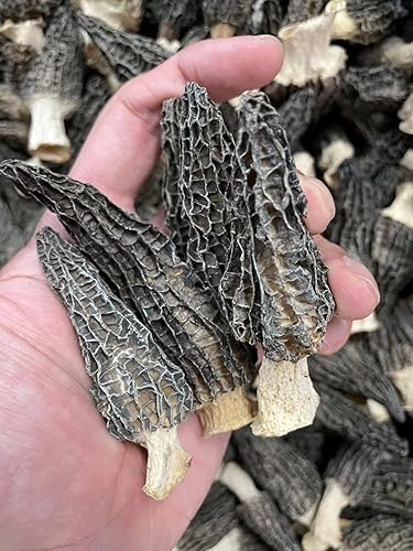 Miniatura 5 de Zercumm Morel 100G Dry Goods - Sopa de hongos comestible a granel