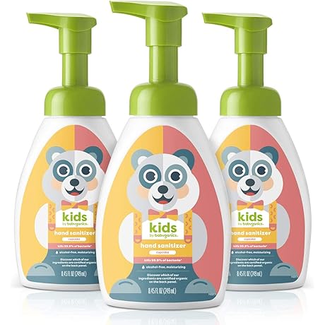 Babyganics Kids Foaming Pump Hand Sanitizer, Alcohol-Free Kids Hand Sanitizer, Antibacterial Hand Sanitizer