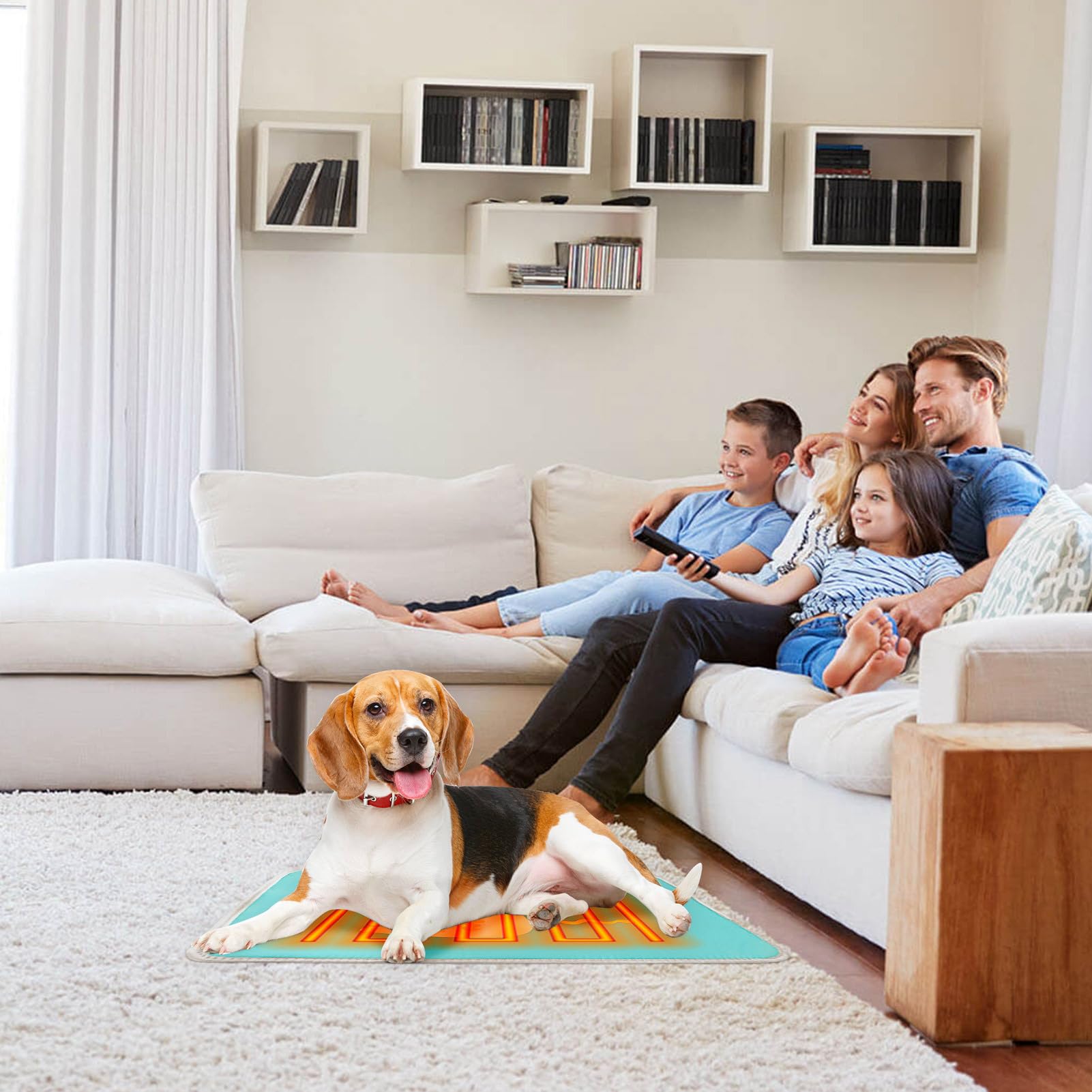 Cuscino Riscaldante Per Animali Domestici HMLTD - Termoregolabile Con Copertura Impermeabile, Per Gatti E Cuccioli - Foto 6