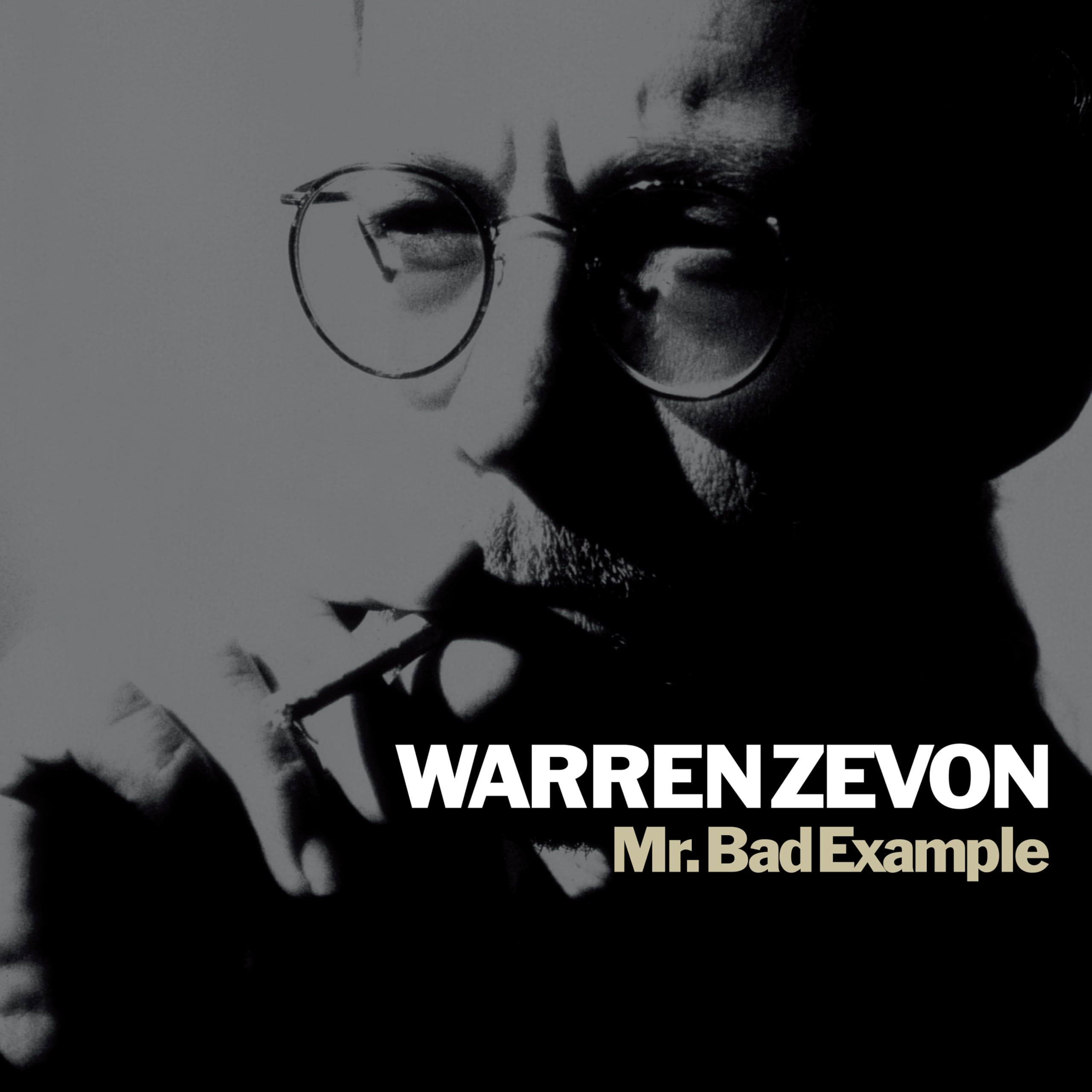 Mr. Bad Example [VINYL]