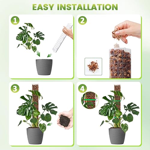Miniatura 4 de EOX Paquete de 6 postes de musgo de plástico de 24 pulgadas x 2 + 36 x 2 + 48 pulgadas x 2 para Monstera, postes grandes en forma de D para plantas