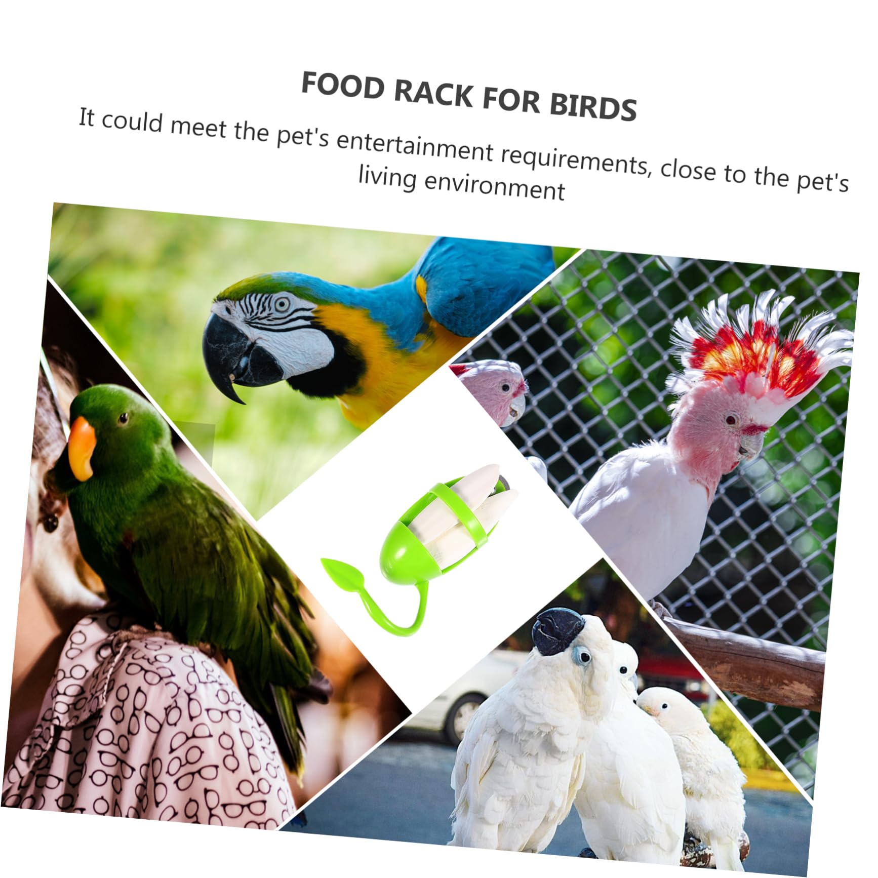 DOITOOL 6pièces Jouet à Mâcher De Seiche pour Oiseaux avec Support Suspendu Accessoire pour Perroquets Perruches Et Cockatiels