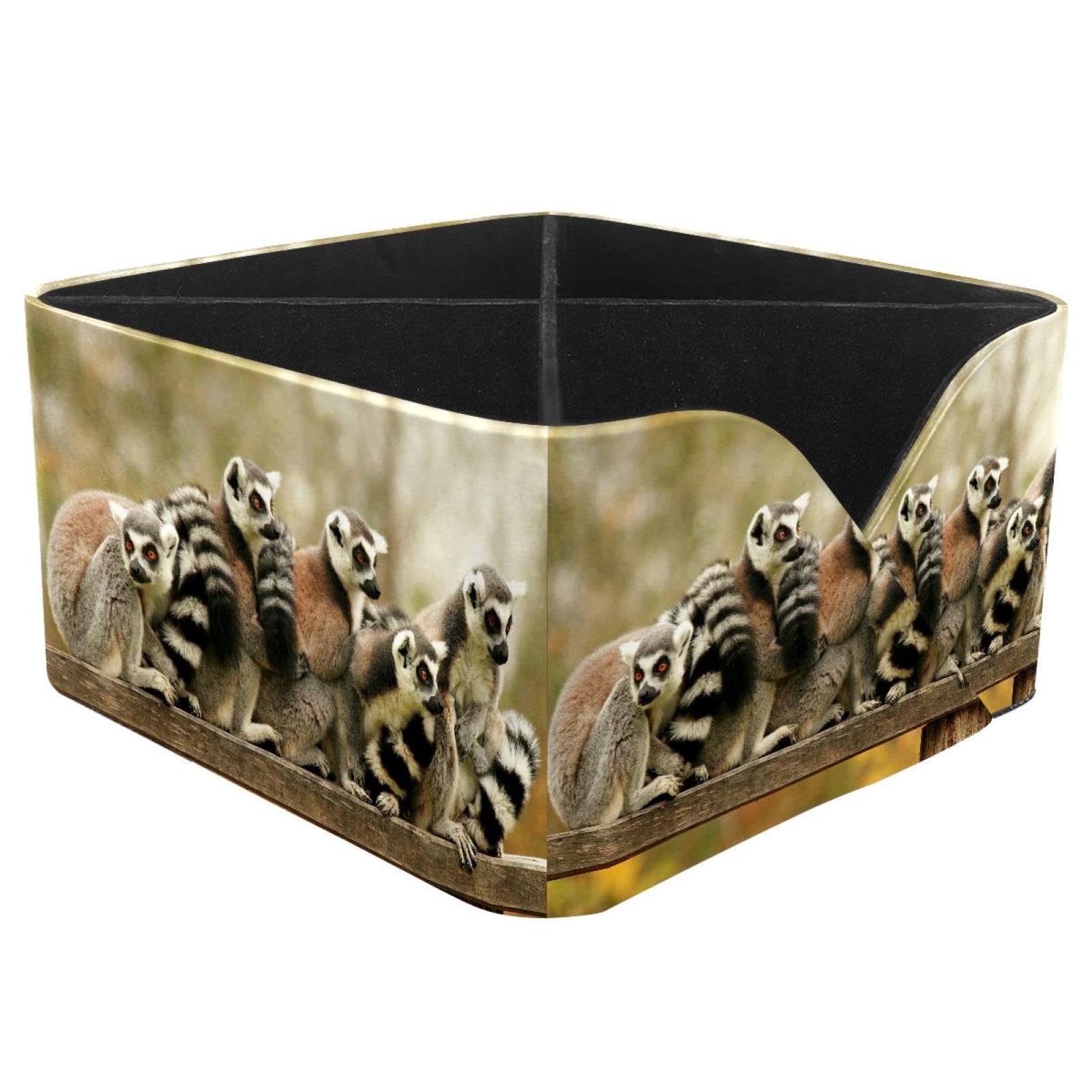 KengjuTesu Madagascar Lemur Desktop Organizer Pen Holder, Rectangular Pencil Cup for Office, Study and Makeup Stations