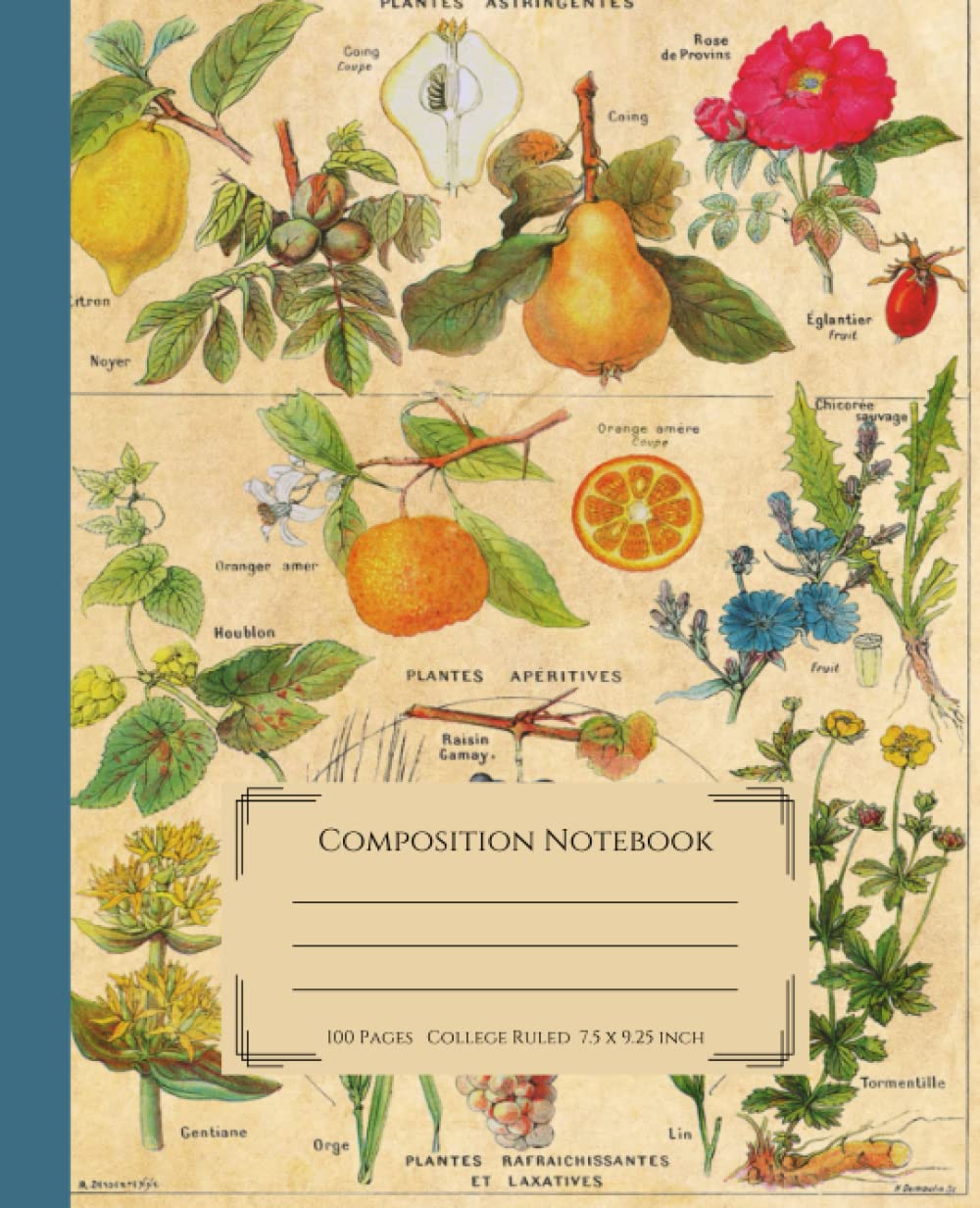 Composition Notebook: Vintage Botanical Fruit and Flowers Illustration Blank Journal | College Ruled, 100 Pages |7.5x9.25 Paperback – May 29, 2022