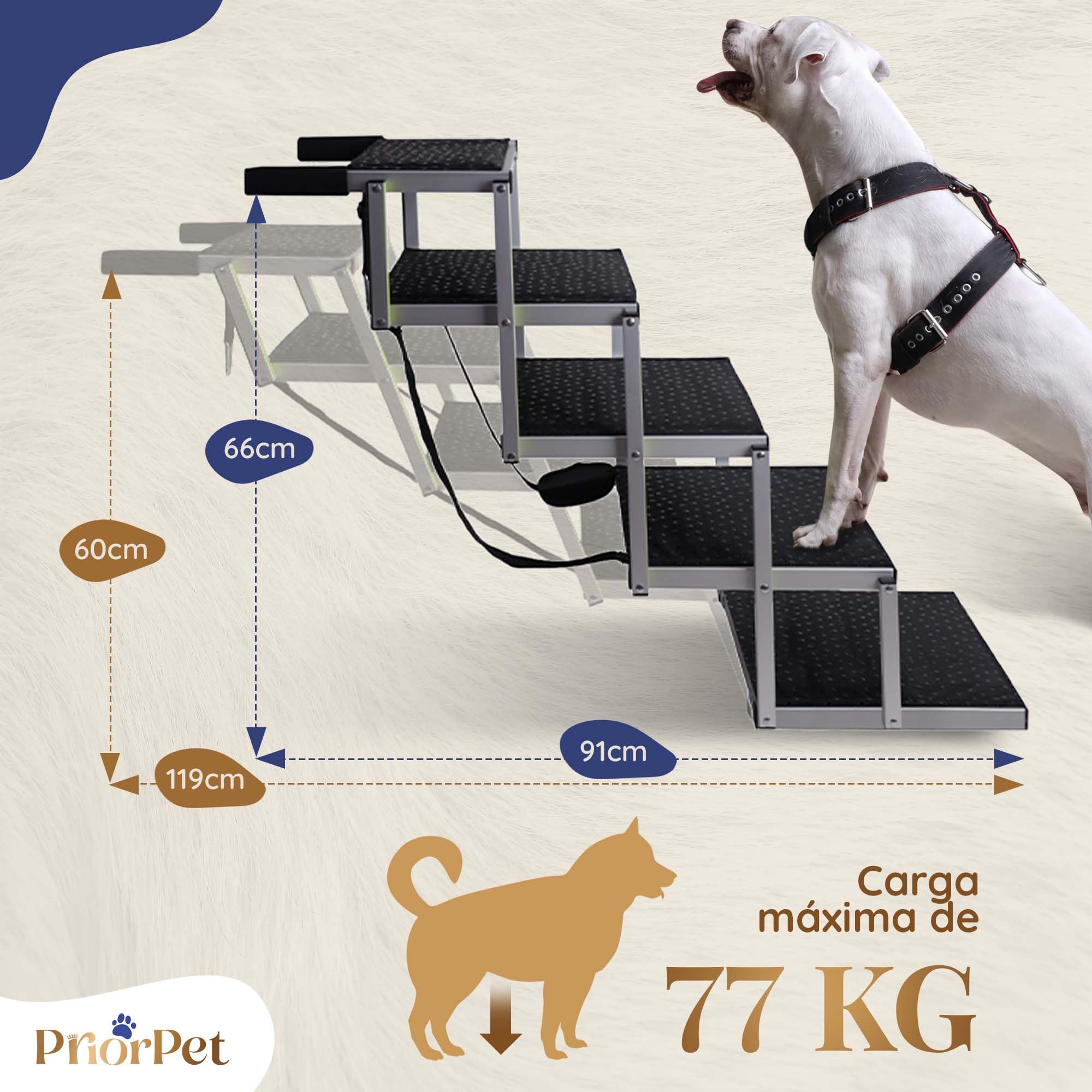 Escaleras para Perros Pequeños o Grandes PRIORPET - Marca Que Brilla en la Oscuridad - Rampa de Coche Plegable - Adecuada para Todos los Coches - Superficie Antideslizante - 5 Escalones