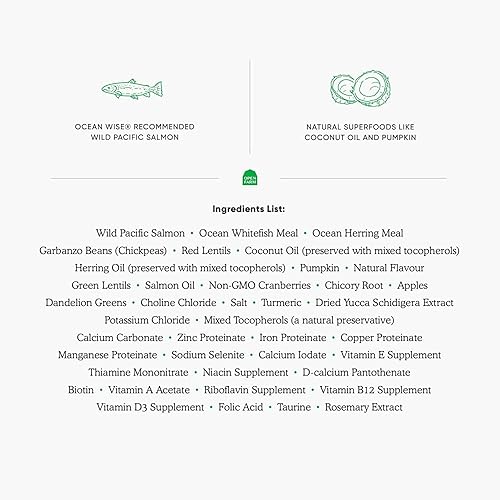 Miniatura 6 de Open Farm Alimento seco para gatos sin granos de salmón silvestre, receta de salmón pacífico de origen responsable con superalimentos sin OMG y sin