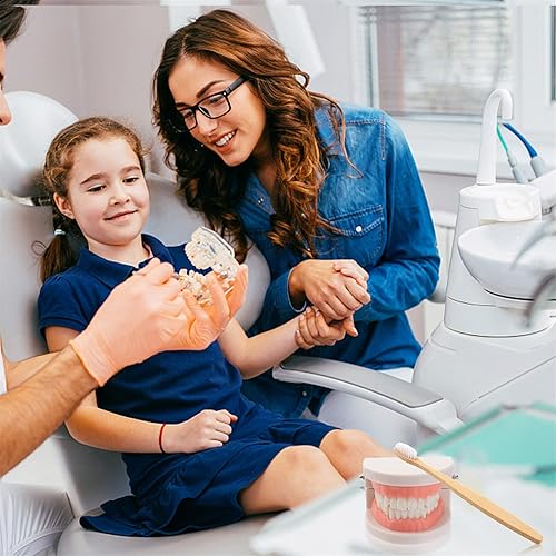 Miniatura 8 de STOBOK Dentista 1 juego Montessori Montessori Vida práctica Cepillado Dientes Modelo con bandeja Vida Práctica Simulado Diente en casa Aprendizaje