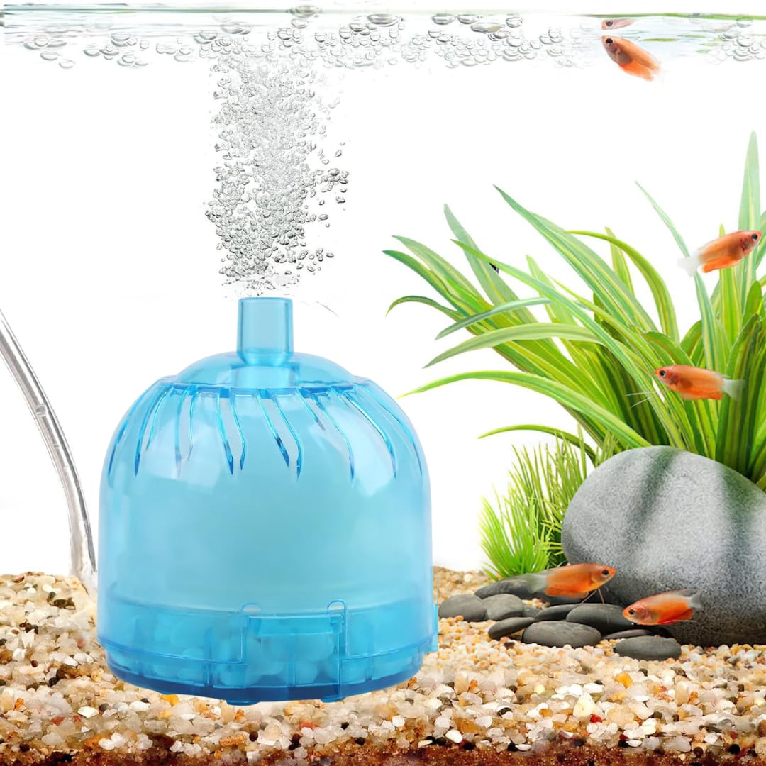 VAYINATO® Mini Cyl Shaped Internal Bio Sponge Filter with Media for Aquarium Fish Tank Fit for 2 Feet Tank | Betta Bowl Filter | Assorted Colour (Air Pump Not Included) by Petzlifeworld (B0CSZD91XN) Amazon Price History, Amazon Price Tracker