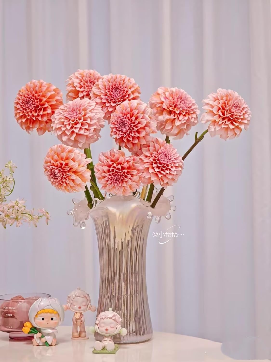 10 Stem dahlia Fresh Cut Flowers Los Angeles Flower Market Flower Arrangement for Birthday Anniversary Friendship and Love Gifts
