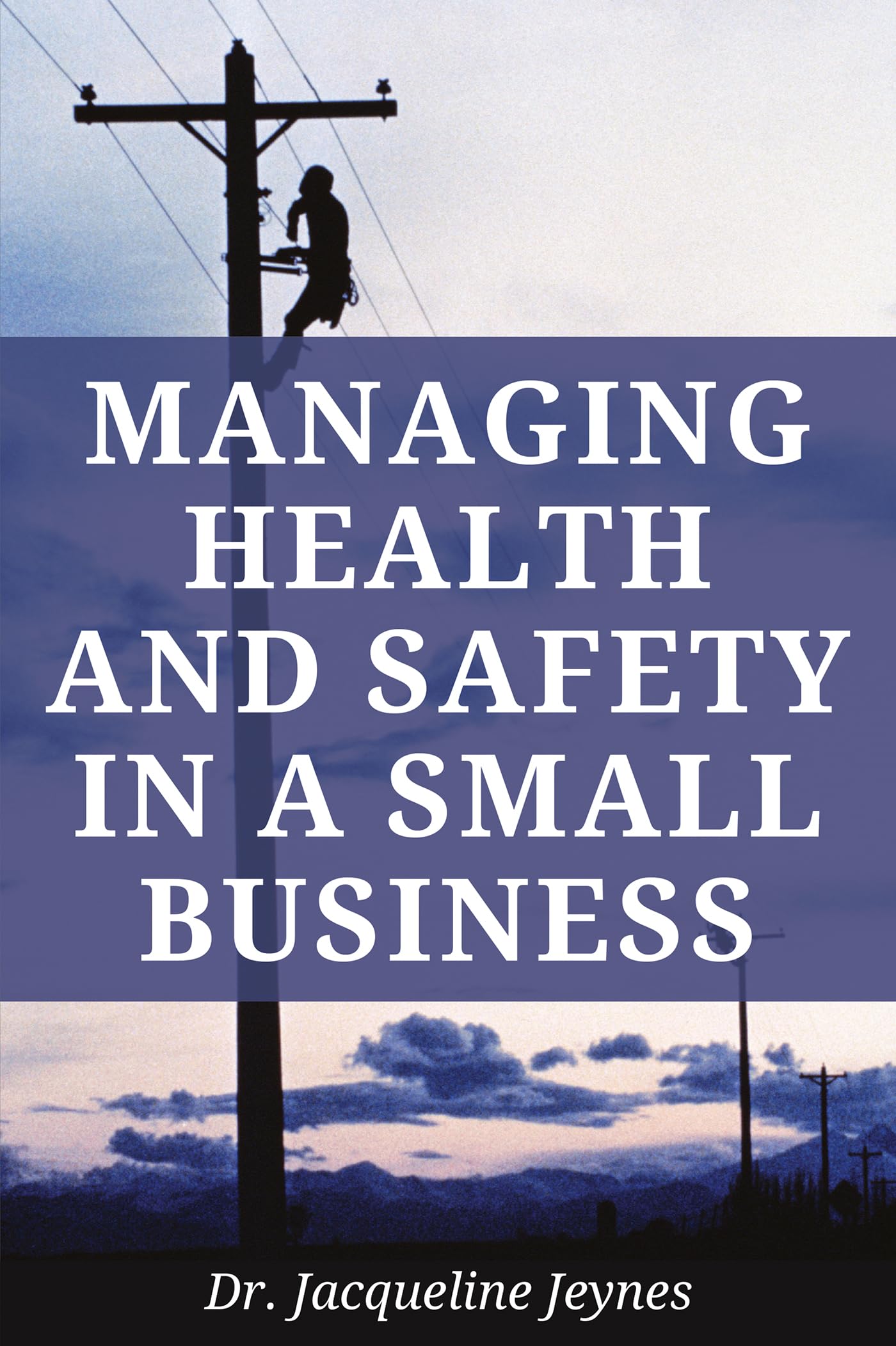 Buy Managing Health and Safety in a Small Business — BookShops.in