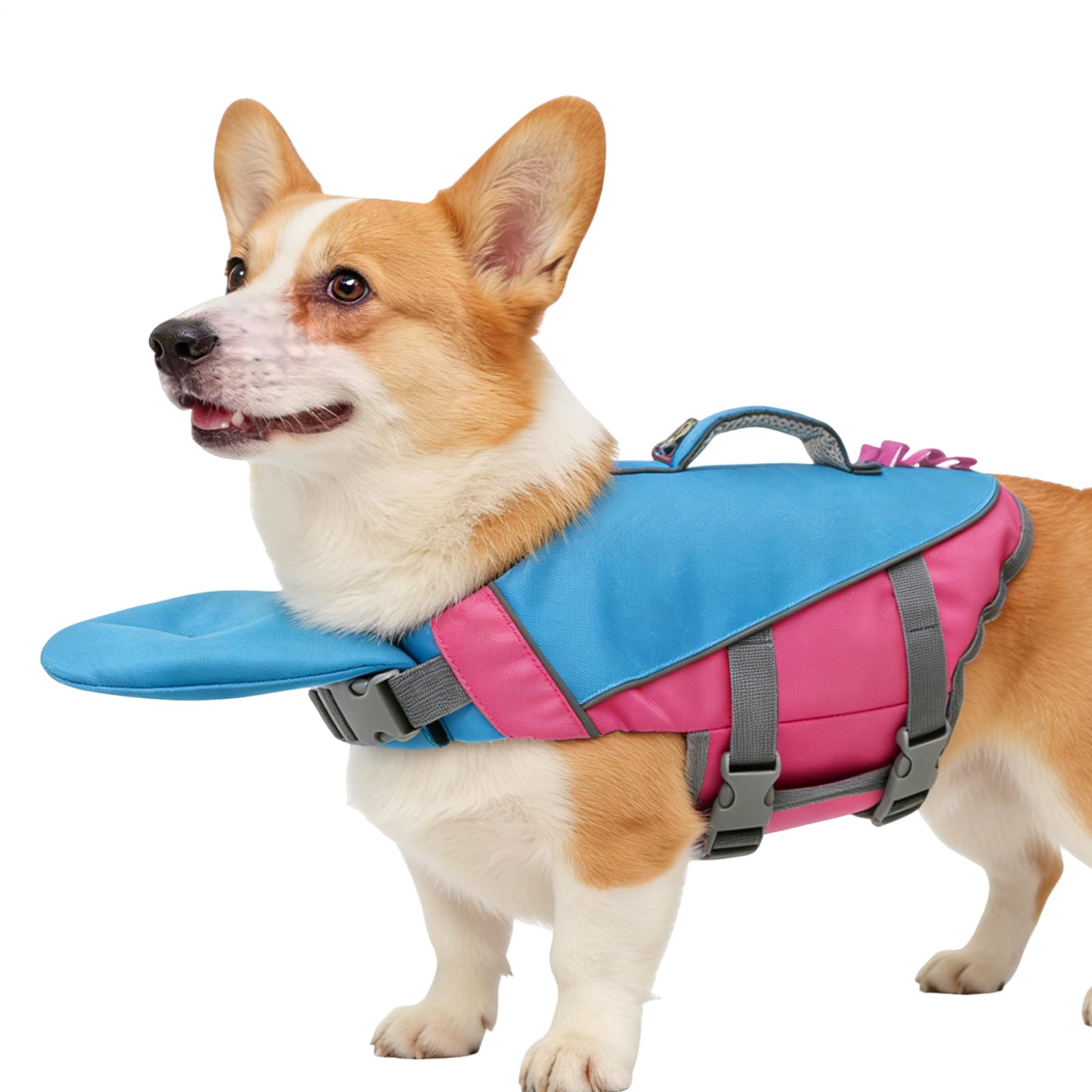 Gilet de Sauvetage pour Chien Flottant, détachable et ajustable | Veste Flottaison Chien Accessoires Animaux pour chiot, petite, moyenne, grande race piscine plage lac rivière bateau