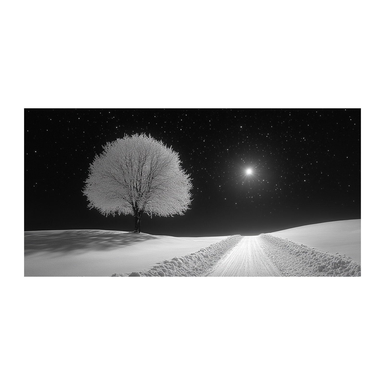TODOAA Cuadros Decoracion Salon Modernos Invierno Negro Blanco Árboles Naturaleza Cuadro,Dormitorios Comedor Oficina Pasillo Cocina Y Baño Decoracion（Blanco-70x140cm Sin marco