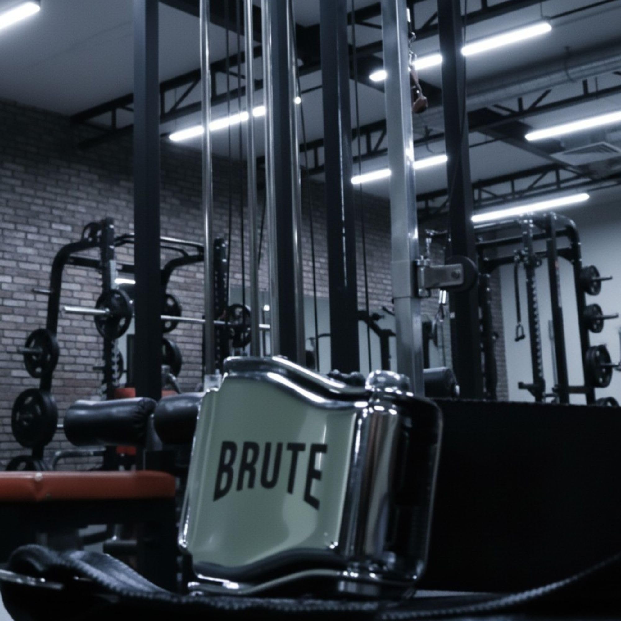 BRUTE Cinturon Avion Gym Cinturon Seguridad Gimnasio Anclaje Extensor Ajustable SeatBelt Gym Sujeccion Maquina Cuadriceps Entrenamiento