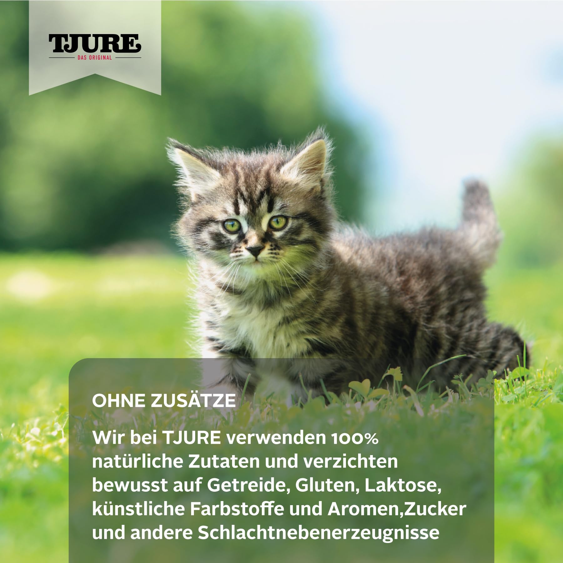 TJURE Katzensmoothie 4 + 2 Kraftbrühe Set | Ergänzungsfuttermittel für Katzen | 4 x 220 ml + 2 x 320 ml | Ideal als Futter Topping & Leckerli | 100 % natürliche Zutaten | Made in Germany