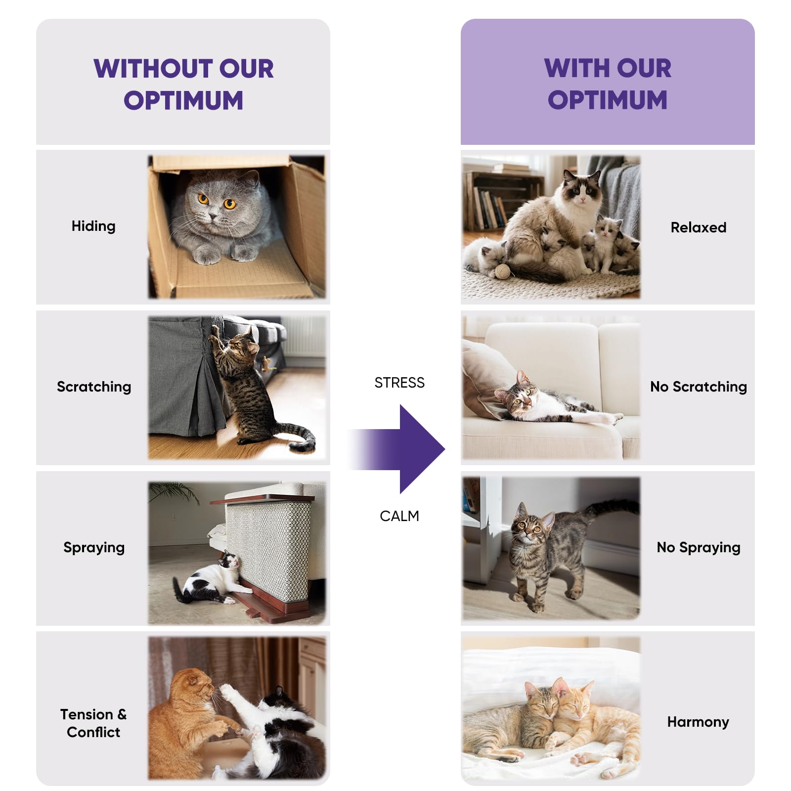 EIUIO Lot de 2 recharges pour diffuseur apaisant pour chat