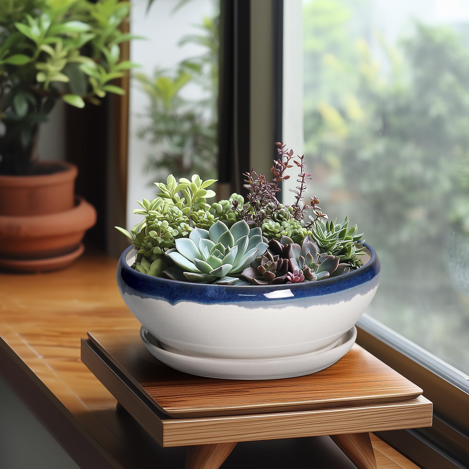 SQOWL Bonsai-Töpfe Keramik - 20,3 cm Sukkulenten-Pflanzgefäße für den Innenbereich, Sukkulententopf mit Drainageloch und Abtropfschale, flacher Keramik-Pflanztopf für den Außenbereich, runder