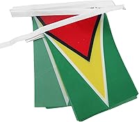 Vista 252 de Guatemala 19.7 ft BUNTING Flag 20 banderas 9'' x 6'' - Banderas de cuerda guatemalteca 5.9 x 8.3 in - AZ FLAG