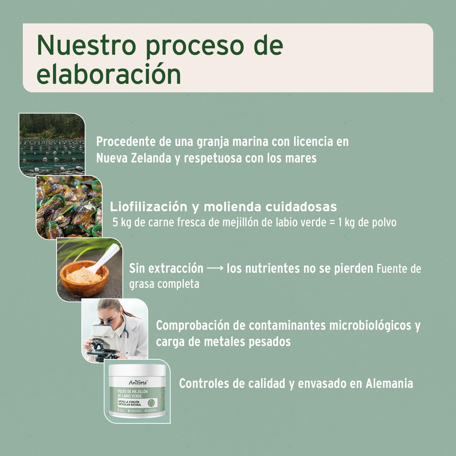 AniForte Polvo de mejillón de Labios Verdes 250g para Perros y Gatos. Condroprotector Natural, 3,3% glicosaminoglicanos y Alto Contenido graso. Apoya la Salud Articular.