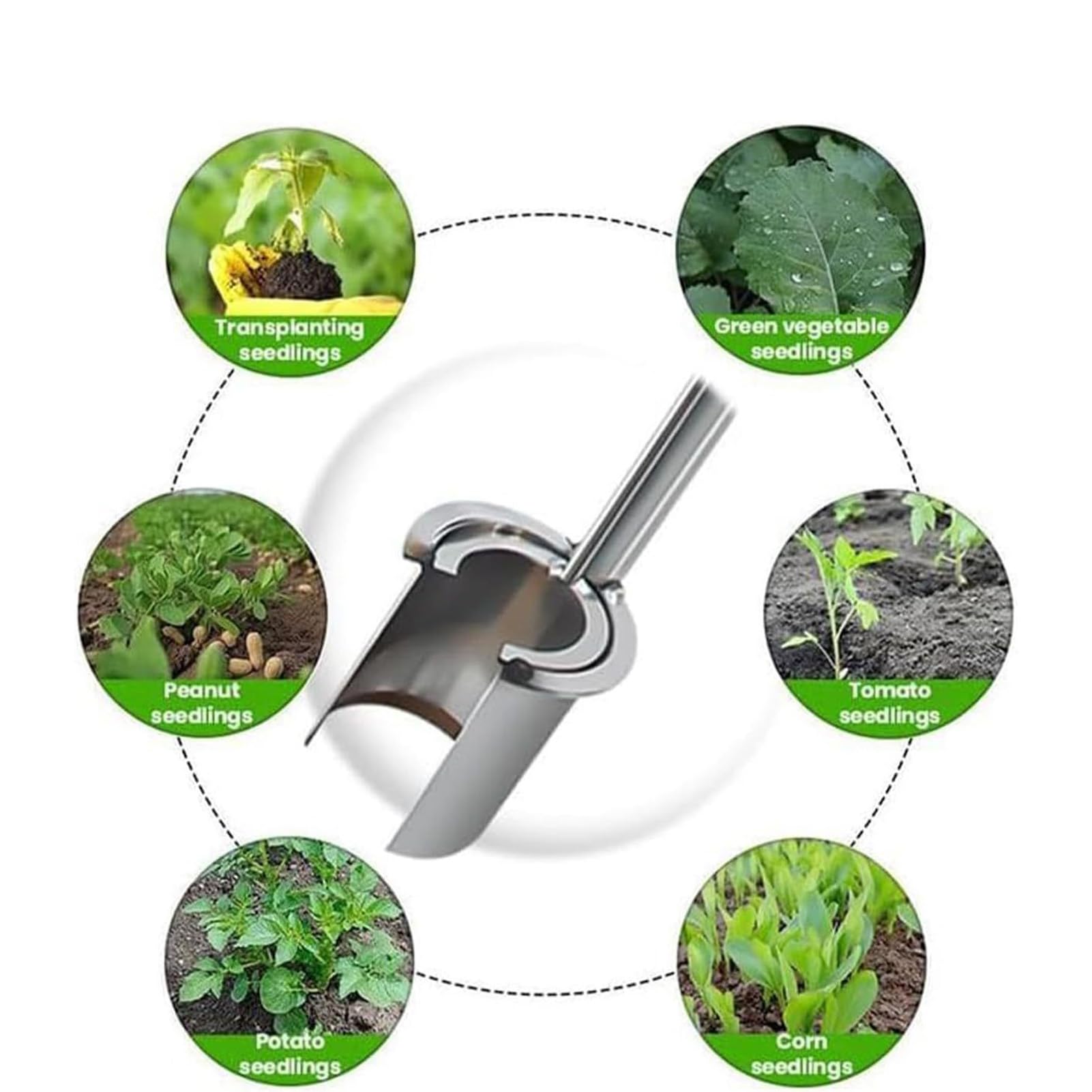 Outil de transplantation portable en acier inoxydable avec long manche, convient pour pelouse et jardin