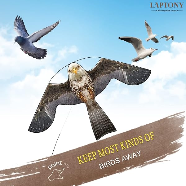 espantapájaros Cometa voladora Cultivos Protector de Aves halcón Cometa voladora para el jardín y la Granja Cometa sólo - 2