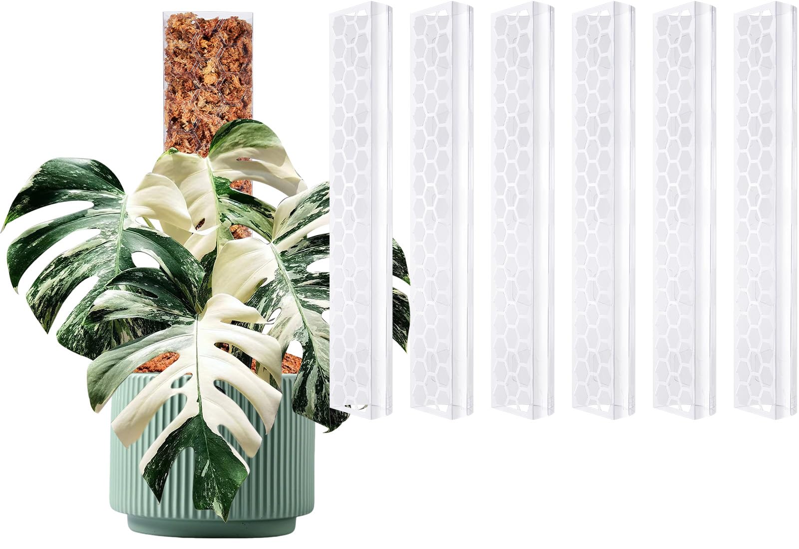 D Shape Sphagnum Moss Pole for Climbing Plants - 6 Pcs 17 Inch Plastic Stackable Plant Support, Designed for Monstera & Indoor Plants with Enhanced Stability