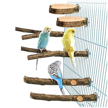 Amazon | SALUDABLE 鳥 止まり木 止まり台 パーチ 自然木 インコ